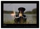 Thumbnail-12