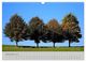 Thumbnail-11