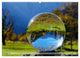 Thumbnail-8