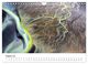 Thumbnail-10