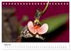 Thumbnail-9