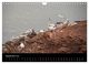 Thumbnail-14