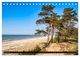 Thumbnail-14