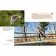 Thumbnail-14