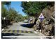 Thumbnail-11
