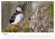 Thumbnail-10