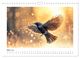 Thumbnail-8