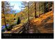 Thumbnail-13