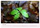 Thumbnail-10