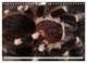 Thumbnail-14