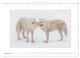 Thumbnail-14