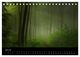 Thumbnail-12