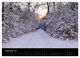 Thumbnail-14