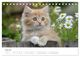 Thumbnail-12