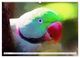 Thumbnail-8