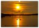 Thumbnail-11