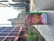 Thumbnail-2