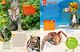 Thumbnail-12