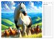 Thumbnail-11