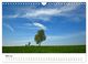 Thumbnail-10