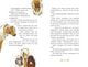 Thumbnail-3