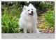 Thumbnail-13