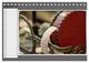 Thumbnail-11