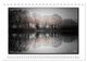 Thumbnail-13