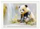 Thumbnail-11