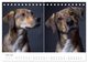 Thumbnail-12
