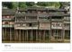 Thumbnail-9