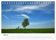 Thumbnail-10