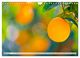 Thumbnail-8