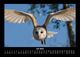 Thumbnail-11