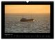 Thumbnail-11