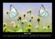 Thumbnail-12