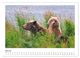 Thumbnail-9