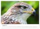 Thumbnail-12