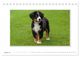 Thumbnail-10