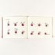 Thumbnail-4