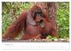 Thumbnail-11