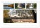 Thumbnail-11