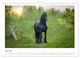 Thumbnail-7