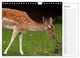 Thumbnail-12