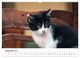 Thumbnail-14