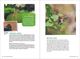 Thumbnail-16