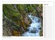 Thumbnail-12