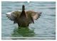 Thumbnail-11
