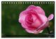 Thumbnail-12