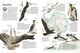 Thumbnail-7